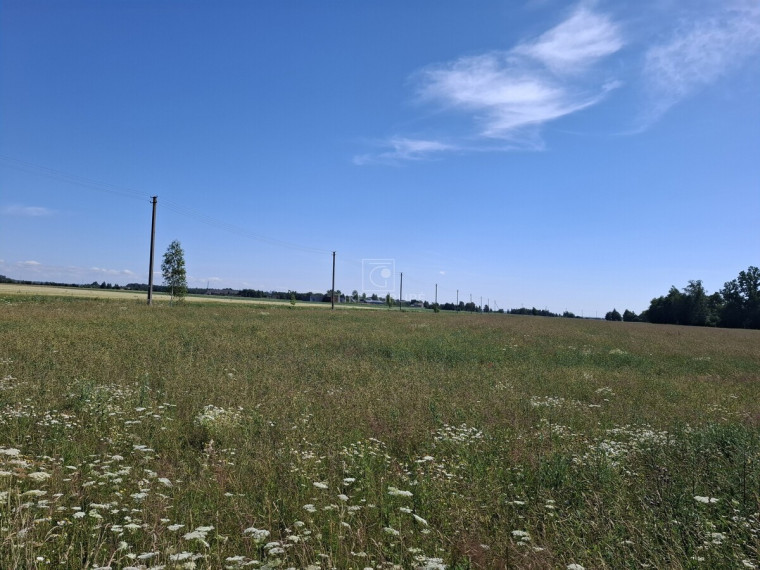 Parduodamas  sklypas Žiobrių k., Klaipėdos r. sav., 350 a ploto 7