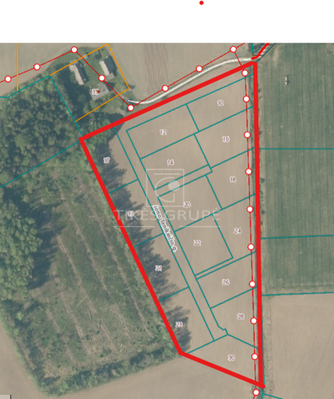 Parduodamas  sklypas Žiobrių k., Klaipėdos r. sav., 350 a ploto 8