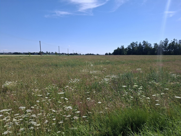 Parduodamas  sklypas Žiobrių k., Klaipėdos r. sav., 350 a ploto 9