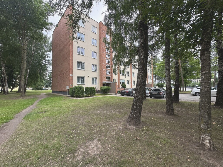 PARDUODAMAS ŠVIESUS IR TVARKINGAS 2 KAMBARIŲ BUTAS SU ĮSTIKLINTU BALKONU PARKO G. 101, PANEVĖŽYJE 50