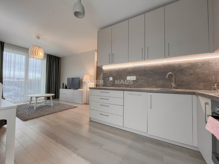 Nuomojamas butas Lvivo g., Šnipiškės, Vilniaus m., Vilniaus m. sav., 48 m2 ploto, 2 kambariai 5
