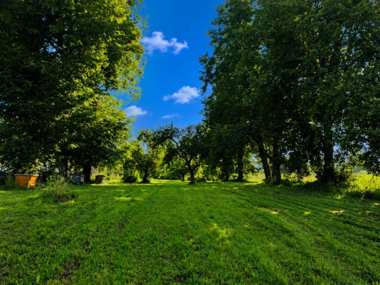 Parduodamas namas Gikonių k., Anykščių r. sav., 68 m² ploto 3 kambariai 5