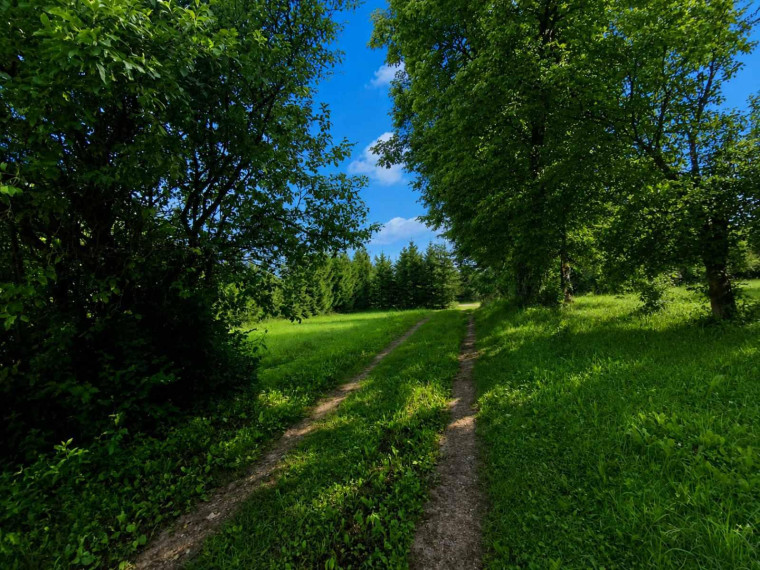 Parduodamas namas Gikonių k., Anykščių r. sav., 68 m² ploto 3 kambariai 6