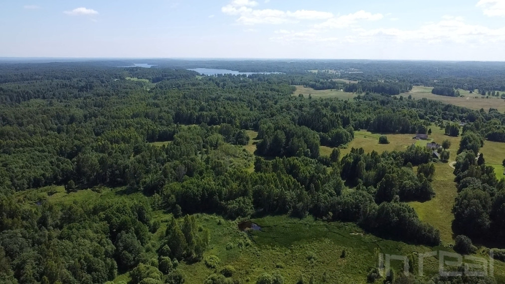 Parduodama sodyba su dideliu žemės ir miško sklypu Utenos raj., Stūglių k. 7