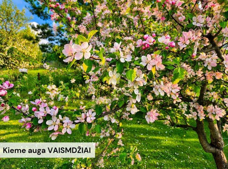 Parduodamas namas Degučių g., Vilniaus m., Vilniaus m. sav., 140 m2 ploto, 2 aukštai 26
