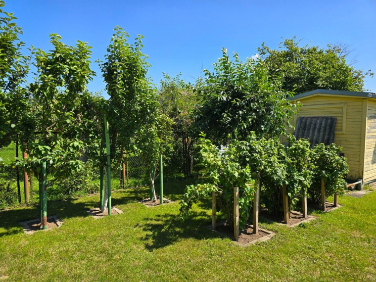 Parduodamas namas Čiobrelių g., Panevėžio m., Panevėžio m. sav., 170 m2 ploto, 1 aukštai 9