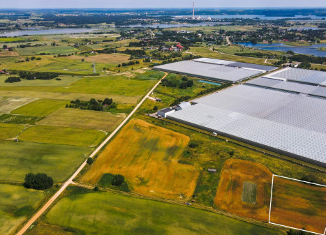 Parduodamas sklypas Girelės g., Kareivonių k., Elektrėnų sav., 82 a ploto Parduodamas sklypas Girelės g., Kareivonių k., Elektrėnų sav., 82 a ploto