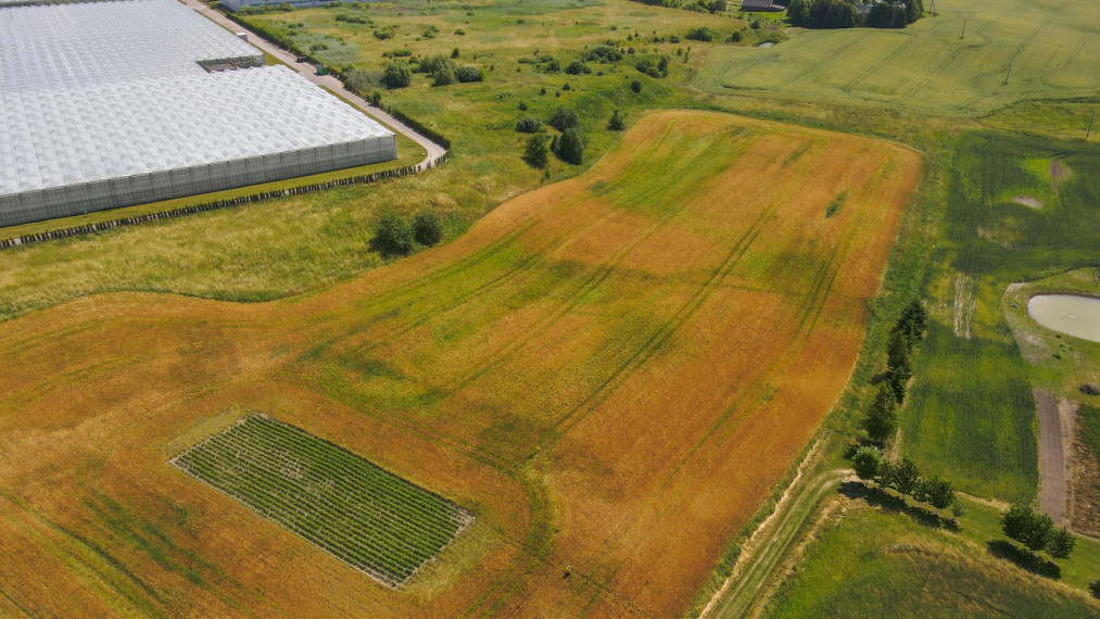 Parduodamas sklypas Girelės g., Kareivonių k., Elektrėnų sav., 82 a ploto 3