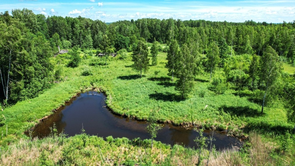 Parduodamas  sklypas Mileikių k., Vilniaus r. sav., 885.34 a ploto 7