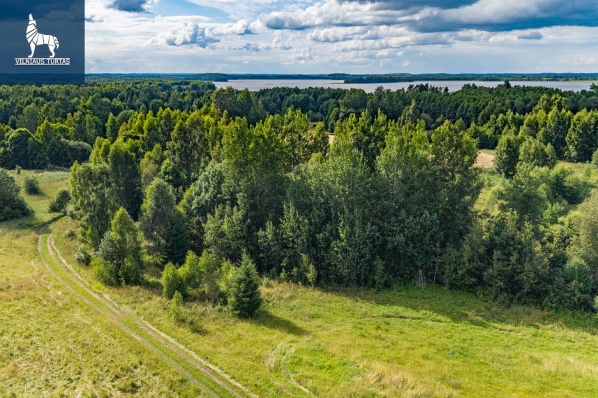 Parduodamas  sklypas Mažėnų k., Ignalinos r. sav., 228.58 a ploto 3