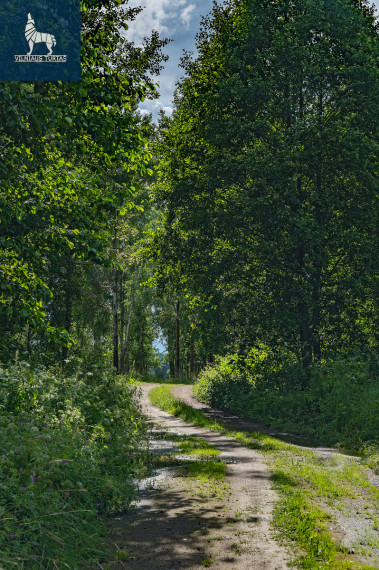Parduodamas  sklypas Mažėnų k., Ignalinos r. sav., 228.58 a ploto 8