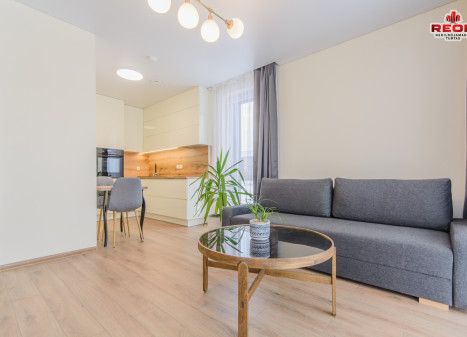 Nuomojamas butas Gilužio g., Pilaitė, Vilniaus m., Vilniaus m. sav., 40 m2 ploto, 2 kambariai Nuomojamas butas Gilužio g., Pilaitė, Vilniaus m., Vilniaus m. sav., 40 m2 ploto, 2 kambariai