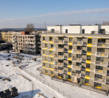 Mėlyni vilkai 4