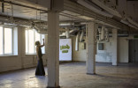 Loft garden 11