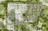 Trakų kaiminystė 2