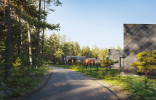 Stirnų giraitė 5