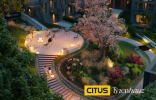 CITUS TYzenhauz 4
