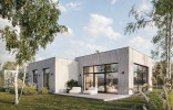 ROOTHAUS 10