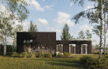 ROOTHAUS 8