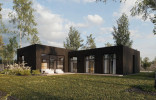 ROOTHAUS 6