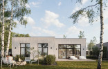 ROOTHAUS 7