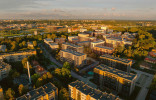Matau Kauną (II) 3