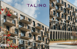 TALINO 3