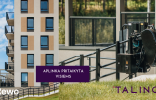 TALINO 11