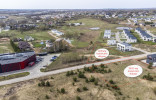 Bališkių pušynas 2