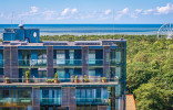 Tikroji Palanga 1