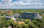 Tikroji Palanga 2
