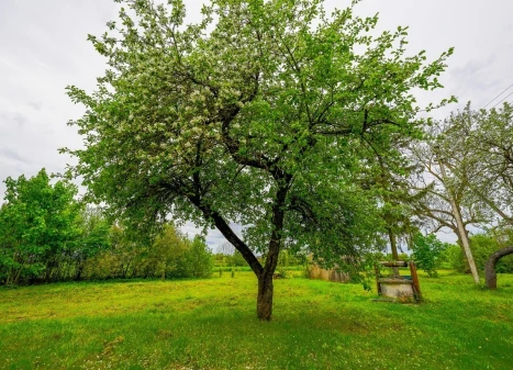 Parduodamas namas Dvaro g., Jasiuliškio k., Ukmergės r. sav., 143.58 m2 ploto, 1 aukštai Parduodamas namas Dvaro g., Jasiuliškio k., Ukmergės r. sav., 143.58 m2 ploto, 1 aukštai