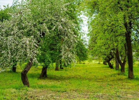 Parduodamas namas Dvaro g., Jasiuliškio k., Ukmergės r. sav., 143.58 m2 ploto, 1 aukštai Parduodamas namas Dvaro g., Jasiuliškio k., Ukmergės r. sav., 143.58 m2 ploto, 1 aukštai