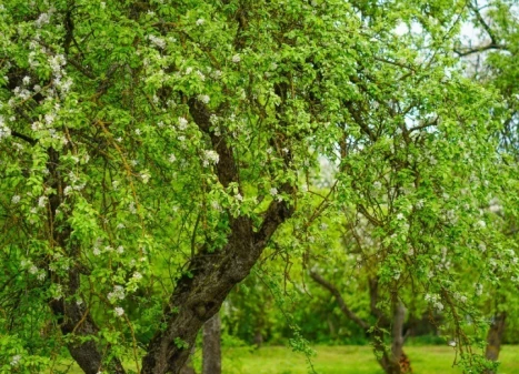 Parduodamas namas Dvaro g., Jasiuliškio k., Ukmergės r. sav., 143.58 m2 ploto, 1 aukštai Parduodamas namas Dvaro g., Jasiuliškio k., Ukmergės r. sav., 143.58 m2 ploto, 1 aukštai
