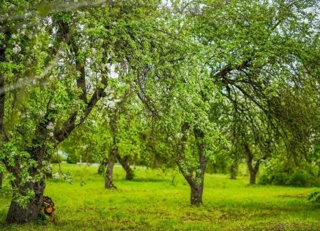Parduodamas namas Dvaro g., Jasiuliškio k., Ukmergės r. sav., 143.58 m2 ploto, 1 aukštai Parduodamas namas Dvaro g., Jasiuliškio k., Ukmergės r. sav., 143.58 m2 ploto, 1 aukštai