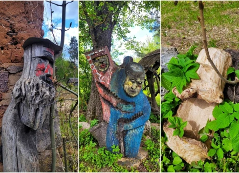 Parduodamas namas Utenos r. sav., Norvaišių k., Azijos, 73.57 m2 ploto, 1 aukštai