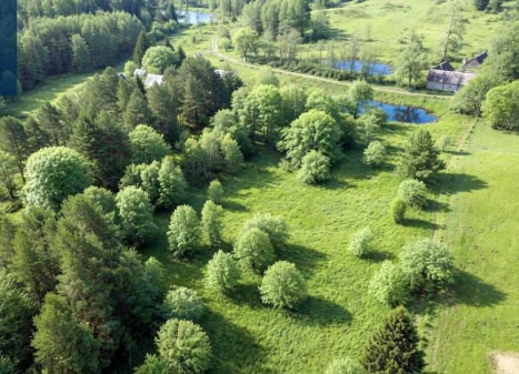 Parduodamas  sklypas Čiūlėnų k., Švenčionių r. sav., 110 a ploto