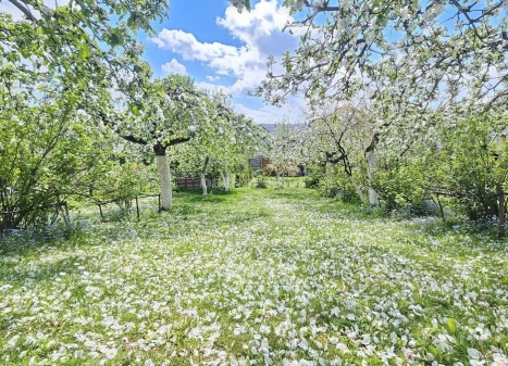 Parduodamas namas Pakalnės g., Drąseikių k., Kauno r. sav., 58.46 m2 ploto, 1 aukštai