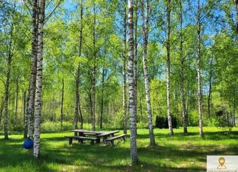 Parduodamas namas Simoniškio I k., Ignalinos r. sav., 215 m2 ploto, 2 aukštai