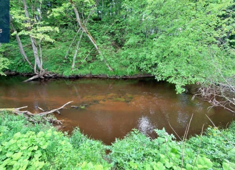 Parduodamas  sklypas Navasiolkų II k., Širvintų r. sav., 195.34 a ploto