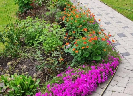 Parduodamas namas Žalioji g., Milioniškės k., Varėnos r. sav., 250.00 m² ploto 7 kambariai Parduodamas namas Žalioji g., Milioniškės k., Varėnos r. sav., 250.00 m² ploto 7 kambariai