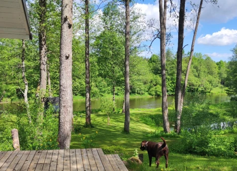 Parduodamas namas Žalioji g., Milioniškės k., Varėnos r. sav., 250.00 m² ploto 7 kambariai Parduodamas namas Žalioji g., Milioniškės k., Varėnos r. sav., 250.00 m² ploto 7 kambariai