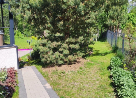 Parduodamas namas Žalioji g., Milioniškės k., Varėnos r. sav., 250.00 m² ploto 7 kambariai Parduodamas namas Žalioji g., Milioniškės k., Varėnos r. sav., 250.00 m² ploto 7 kambariai