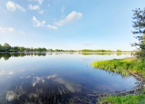 Parduodamas namas Vaineikių k., Rokiškio r. sav., 73.23 m² ploto 2 kambariai Parduodamas namas Vaineikių k., Rokiškio r. sav., 73.23 m² ploto 2 kambariai