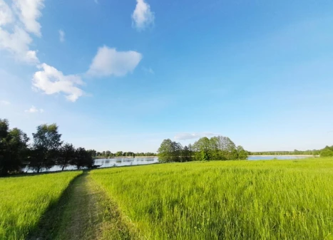 Parduodamas namas Vaineikių k., Rokiškio r. sav., 73.23 m² ploto 2 kambariai