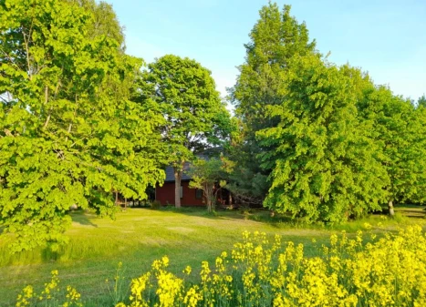 Parduodamas namas Vaineikių k., Rokiškio r. sav., 73.23 m² ploto 2 kambariai