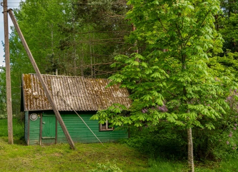 Parduodamas namas Duobiškio g., Luknių k., Utenos r. sav., 54.85 m² ploto 3 kambariai