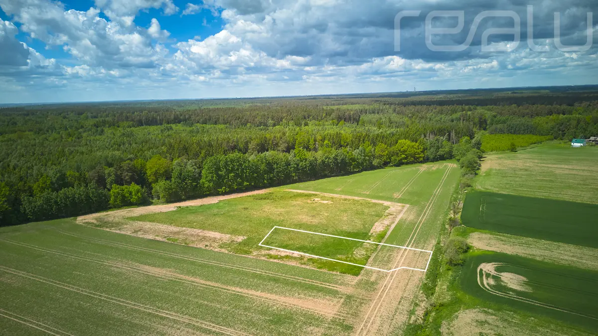 Stirnų g., Piliuonos k. Kauno r.