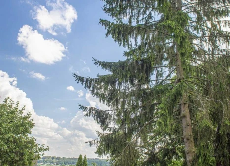 Parduodamas namas Pieštvės g., Seredžiaus mstl., Jurbarko r. sav., 107.17 m² ploto 1 kambarys Parduodamas namas Pieštvės g., Seredžiaus mstl., Jurbarko r. sav., 107.17 m² ploto 1 kambarys