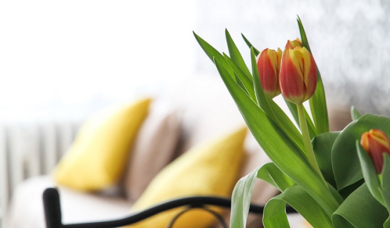 Kaip paruošti namus pavasariui? Keli paprasti patarimai kiekvienam
